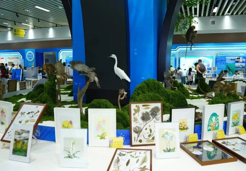 微信图片_2026-01-04_161708_773.jpg 微信图片_2026-01-04_161708_773.jpg