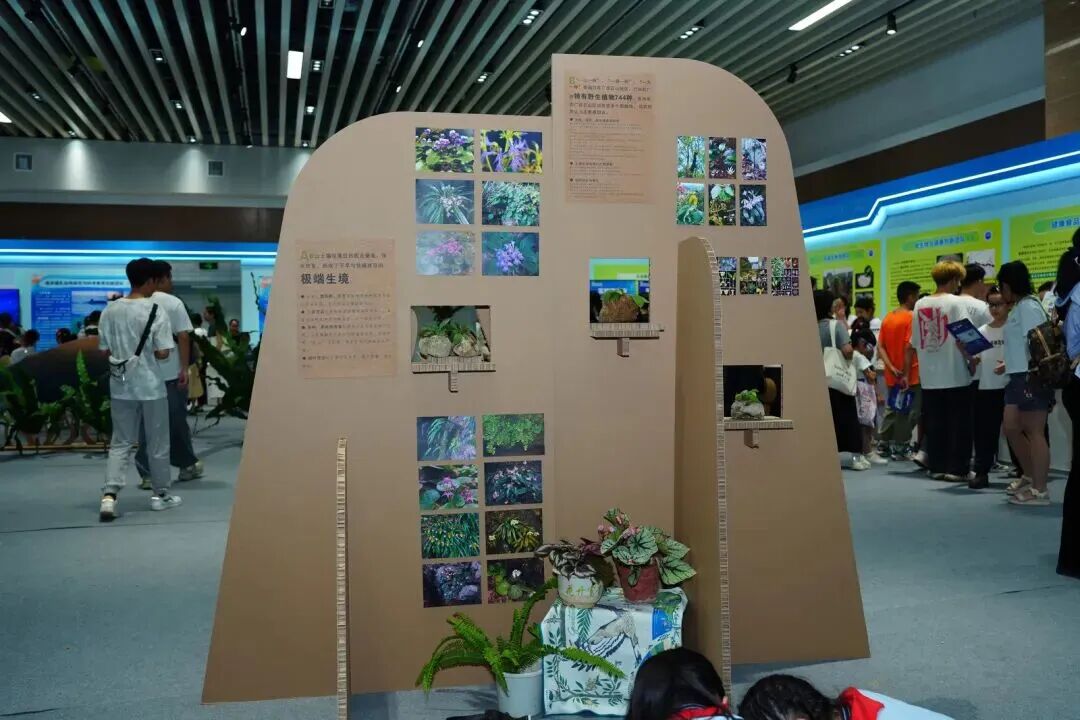 微信图片_2026-01-04_161718_441.jpg 微信图片_2026-01-04_161718_441.jpg