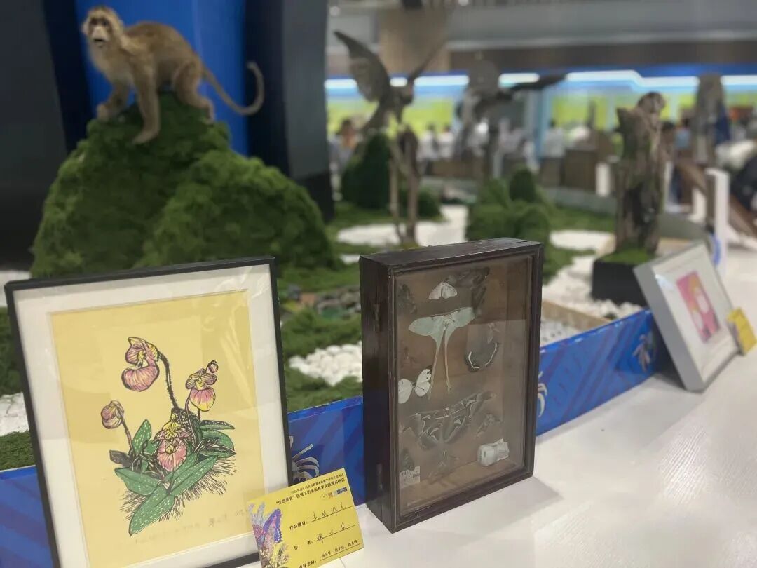 微信图片_2026-01-04_161755_571.jpg 微信图片_2026-01-04_161755_571.jpg